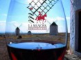Vino de la mancha
